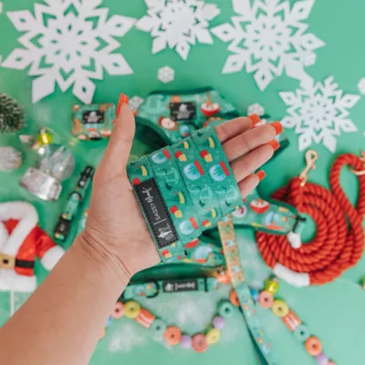 Sassy Woof Elf™ Holiday Dog Leash, 5 FT - Image 4