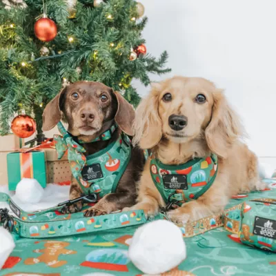Sassy Woof Elf™ Holiday Dog Sailor Bow with Collar Straps, 5 x 4.5 in - Image 4