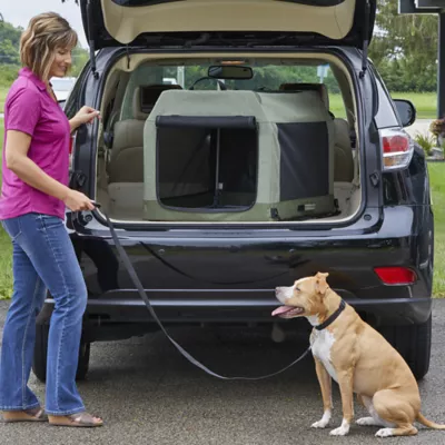 Midwest® Foldable Canine Camper Tent Crate W/ Ventilated Windows & No-Slip Feet, Green - Image 3