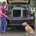Midwest® Foldable Canine Camper Tent Crate W/ Ventilated Windows & No-Slip Feet, Green image thumbnail 3