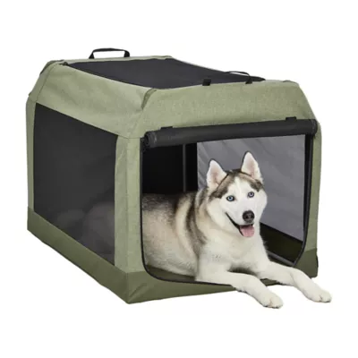 Midwest® Foldable Canine Camper Tent Crate W/ Ventilated Windows & No-Slip Feet, Green - Image 1