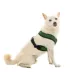 Gooby Comfort X Dual Snap Mesh Dog Harness image thumbnail 1