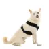 Gooby Comfort X Dual Snap Mesh Dog Harness image thumbnail 1