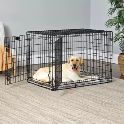 Midwest® QuietTime Pan Covers, Dog Crate Pan Cover, Grey Floral Print - Image 3