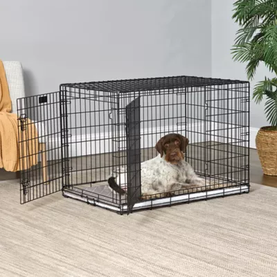 Midwest® QuietTime Pan Covers, Dog Crate Pan Cover, Mushroom Diamond Print - Image 3