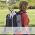Midwest® Day Tripper Pet Backpack W/ Cushioned Shoulder Straps & Padded Interior image thumbnail 2