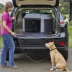 Midwest® Foldable Canine Camper Tent Crate W/ Ventilated Windows & No-Slip Feet, Gray image thumbnail 3