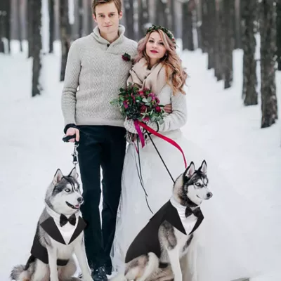 Kuoser Dog Tuxedo Suit & Bandana Set, Formal Dog Clothing for Weddings, Parties & Special Events - Image 6