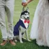 Kuoser Blue Dog Tuxedo Suit & Bandana Set, Formal Dog Clothing for Weddings, Parties, & Events image thumbnail 5