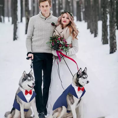 Kuoser Blue Dog Tuxedo Suit & Bandana Set, Formal Dog Clothing for Weddings, Parties, & Events - Image 6