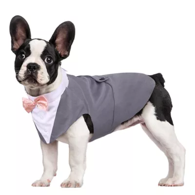 Kuoser Grey Dog Tuxedo Suit & Bandana Set, Formal Dog Clothing for Weddings, Parties, & Events - Image 1