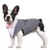 Kuoser Grey Dog Tuxedo Suit & Bandana Set, Formal Dog Clothing for Weddings, Parties, & Events image thumbnail 1