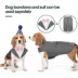 Kuoser Grey Dog Tuxedo Suit & Bandana Set, Formal Dog Clothing for Weddings, Parties, & Events image thumbnail 3