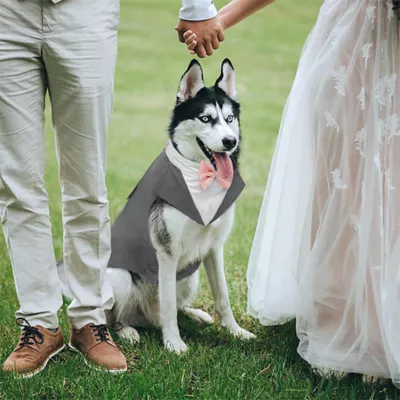 Kuoser Grey Dog Tuxedo Suit & Bandana Set, Formal Dog Clothing for Weddings, Parties, & Events - Image 5