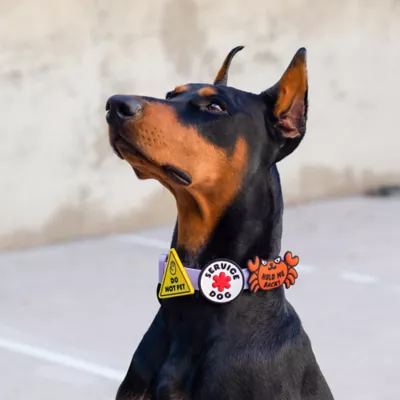 Jiby Servie Dog, Dog Charm - Image 2