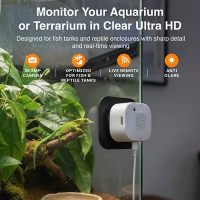 Instachew Purrsight Eco Smart Fish and Reptile Tank Camera - Image 2