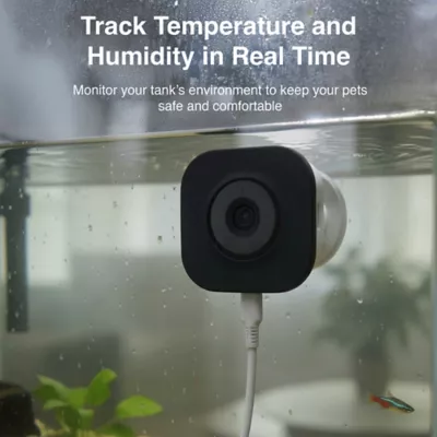 Instachew Purrsight Eco Smart Fish and Reptile Tank Camera - Image 3