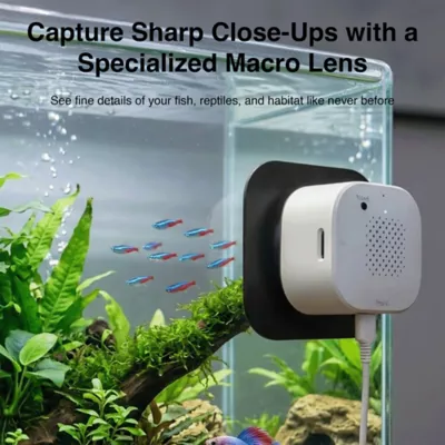 Instachew Purrsight Eco Smart Fish and Reptile Tank Camera - Image 5