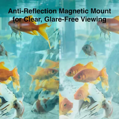 Instachew Purrsight Eco Smart Fish and Reptile Tank Camera - Image 6