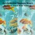 Instachew Purrsight Eco Smart Fish and Reptile Tank Camera image thumbnail 6