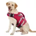 Kuoser High Flotation Dog Floation Aid with Rescue Handle for Swimming & Boating image thumbnail 1