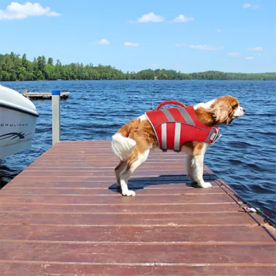 Kuoser High Flotation Dog Floation Aid with Rescue Handle for Swimming & Boating - Image 5