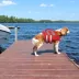 Kuoser High Flotation Dog Floation Aid with Rescue Handle for Swimming & Boating image thumbnail 5