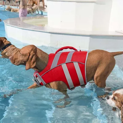 Kuoser High Flotation Dog Floation Aid with Rescue Handle for Swimming & Boating - Image 6