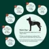 Kuoser Dog Recovery Suit, Recovery Onesie for Dogs, Post-Surgery Apparel, Peach image thumbnail 2