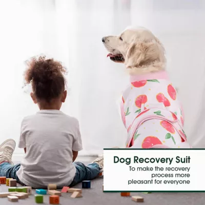 Kuoser Dog Recovery Suit, Recovery Onesie for Dogs, Post-Surgery Apparel, Peach - Image 5