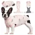 Kuoser Dog Surgery Recovery Shirt, Post-Surgery Dog Apparel, Cone Alternative, Peach image thumbnail 1