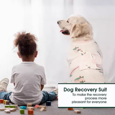 Kuoser Dog Surgery Recovery Shirt, Post-Surgery Dog Apparel, Cone Alternative, Peach - Image 5