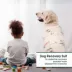 Kuoser Dog Surgery Recovery Shirt, Post-Surgery Dog Apparel, Cone Alternative, Peach image thumbnail 5