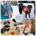 GOOPAWS 2 Pack Collapsible Silicone Dog Bowls, Non-Skid Travel Pet Bowls, Orange & Grey image thumbnail 6