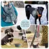 GOOPAWS 2 Pack Collapsible Silicone Dog Bowls, Non-Skid Travel Pet Bowls, Orange & Grey image thumbnail 7