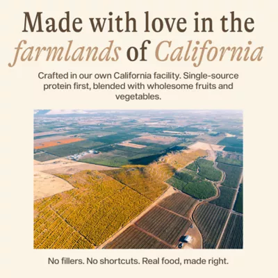 Unconditional Air Dried Adult Dry Dog Food - Beef - Image 5