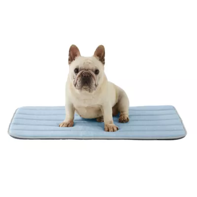 GOOPAWS Cooling Dog Mat, Self-Cooling Pet Bed for Dogs, Non-Slip Indoor & Outdoor Design, Blue - Image 1