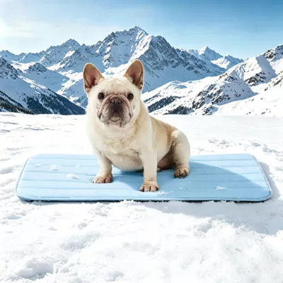 GOOPAWS Cooling Dog Mat, Self-Cooling Pet Bed for Dogs, Non-Slip Indoor & Outdoor Design, Blue - Image 2