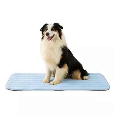 GOOPAWS Cooling Dog Mat, Self-Cooling Pet Bed for Dogs, Non-Slip Indoor & Outdoor Design, Blue - Image 1