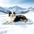 GOOPAWS Cooling Dog Mat, Self-Cooling Pet Bed for Dogs, Non-Slip Indoor & Outdoor Design, Blue image thumbnail 2