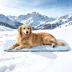 GOOPAWS Cooling Dog Mat, Self-Cooling Pet Bed for Dogs, Non-Slip Indoor & Outdoor Design, Blue image thumbnail 2