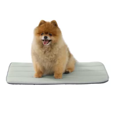GOOPAWS Cooling Dog Mat, Self-Cooling Pet Bed for Dogs, Non-Slip Indoor & Outdoor Design, Green - Image 1