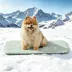 GOOPAWS Cooling Dog Mat, Self-Cooling Pet Bed for Dogs, Non-Slip Indoor & Outdoor Design, Green image thumbnail 2