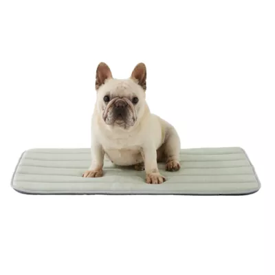 GOOPAWS Cooling Dog Mat, Self-Cooling Pet Bed for Dogs, Non-Slip Indoor & Outdoor Design, Green - Image 1