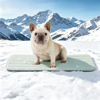 GOOPAWS Cooling Dog Mat, Self-Cooling Pet Bed for Dogs, Non-Slip Indoor & Outdoor Design, Green - Image 2