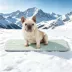 GOOPAWS Cooling Dog Mat, Self-Cooling Pet Bed for Dogs, Non-Slip Indoor & Outdoor Design, Green image thumbnail 2