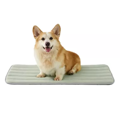 GOOPAWS Cooling Dog Mat, Self-Cooling Pet Bed for Dogs, Non-Slip Indoor & Outdoor Design, Green - Image 1