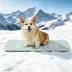GOOPAWS Cooling Dog Mat, Self-Cooling Pet Bed for Dogs, Non-Slip Indoor & Outdoor Design, Green image thumbnail 2