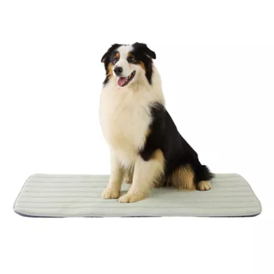 GOOPAWS Cooling Dog Mat, Self-Cooling Pet Bed for Dogs, Non-Slip Indoor & Outdoor Design, Green - Image 1