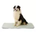 GOOPAWS Cooling Dog Mat, Self-Cooling Pet Bed for Dogs, Non-Slip Indoor & Outdoor Design, Green image thumbnail 1